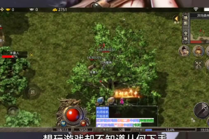 传奇私sf平台野蛮冲撞一般对怪物没办法释放出伤害